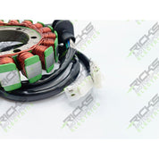 Ricks Stator For Yamaha TDM850 1996-2001 21-431