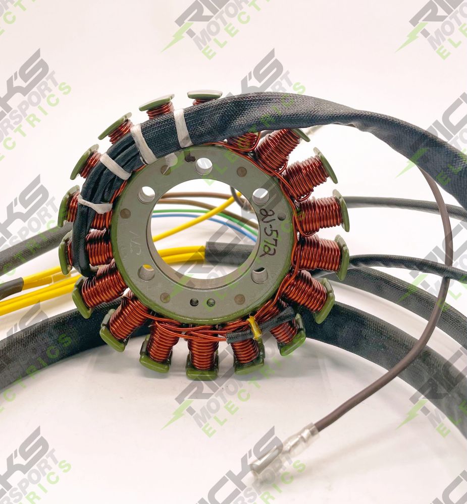 Ricks Stator 21-572