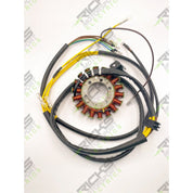 Ricks Stator 21-572