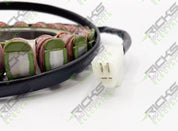Ricks Stator 21-718