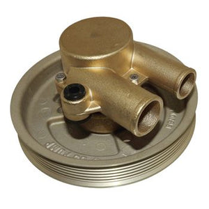 Pro Marine Raw Water Pump 21212799P