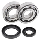 All Balls Racing Crank Shaft Bearing Kit 24-1017
