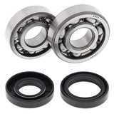All Balls Racing Crank Shaft Bearing Kit 24-1023