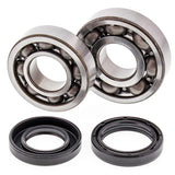 All Balls Racing Crank Shaft Bearing Kit 24-1043