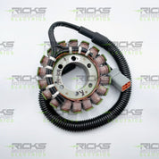 Ricks Stator 24-109