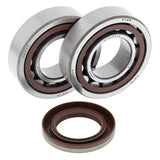 All Balls Racing Crank Shaft Bearing Kit 24-1106