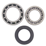 All Balls Racing Rear Wheel Bearing Kit 25-1010