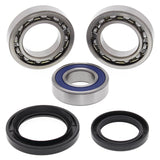 All Balls Racing Rear Wheel Bearing Kit 25-1018