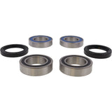 All Balls Racing Rear Wheel Bearing Kit 25-1019