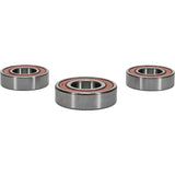 Pivot Works Rear Premium Wheel Bearing Kit 25-1053-P