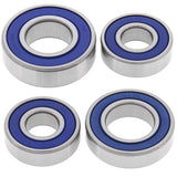 All Balls Racing Rear Wheel Bearing Kit 25-1100
