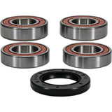 Pivot Works Rear Premium Wheel Bearing Kit 25-1106-P