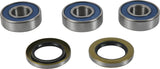 Pivot Works Rear Premium Wheel Bearing Kit 25-1813