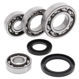 All Balls Racing Rear Differential Bearing And Seal Kit 25-2017