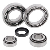 All Balls Racing Rear Differential Bearing And Seal Kit 25-2019