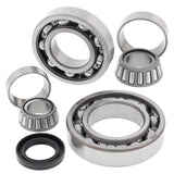 All Balls Racing Rear Differential Bearing And Seal Kit 25-2038