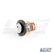 WSM Thermostat - 004-260