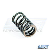 WSM Valve Spring Outer - 010-030