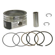 2008-2009 Polaris SPORTSMAN 800 HO Piston Kit