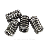 CSK Series Heavy Duty Clutch Spring Kit Yamaha XV 250 Route 66/Virago 1995-2007