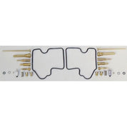 WSM Carburetor Kit For Kawasaki 750 Brute Force 05-07 016-119