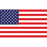 DragonFire Racing American Flag - One-sided Print - 04-0104
