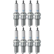 Set of 8 NGK Standard Spark Plugs for Suzuki GSF1200/S 2005-1997 Engine 1200cc