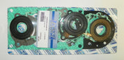 WSM Complete Gasket Kit For Tiger Shark 640 93-99 007-661