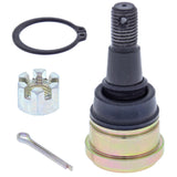 All Balls Racing Lower Ball Joint Kit 42-1031