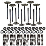 Pro Marine Hi Performance Valve Kit 420000