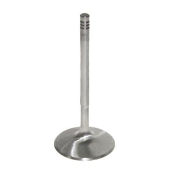 Pro Marine Intake-Standard Valve 420290