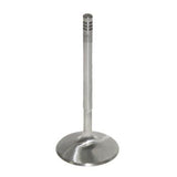 Pro Marine Intake-Standard Valve 420290
