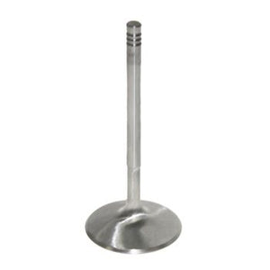 Pro Marine Intake-Standard Valve 420290