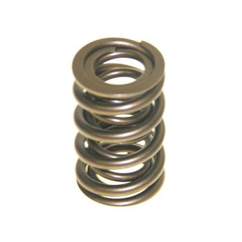Pro Marine High Perf Vlv In/out Spring 420490