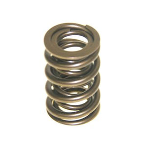 Pro Marine High Perf Vlv In/out Spring 420490
