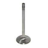 Pro Marine Exhaust-Standard Valve 420682