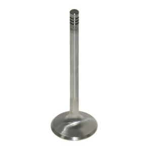 Pro Marine Exhaust-Standard Valve 420682
