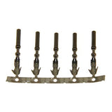 Pro Marine 5 Pack ECU Harness Pins 44722