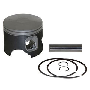 Pro Marine Pro-V Piston Kit .020 Port 4520PV
