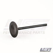 WSM Intake Valve for Yamaha 225 - 350 Hp 3.3 / 5.3L 4-Stroke 05-11 120-224