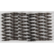 Hinson Clutch Spring Kit Yellow High Temp - CS216-6-0315