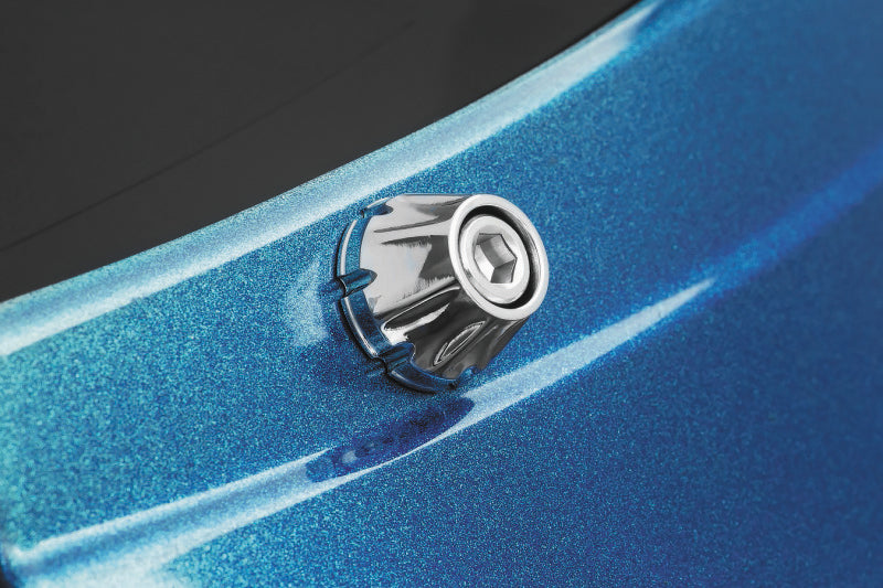 Kuryakyn Chrome Windshield Screws 5717