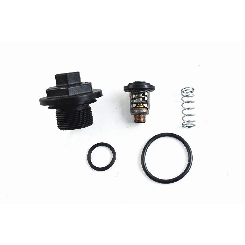 WSM Thermostat Kit for Johnson / Evinrude 200 - 300 Hp E-Tec / FFI 780-170