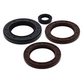 Vertex Oil Seal Kit 622206
