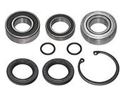 SPI Chain Case Bearing Kit SM-03208