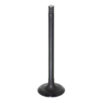 Pro Marine Intake Valve L 96.9mm D 29mm 68V-12111P