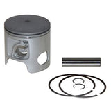 Pro Marine Pro Piston Kit Std. Port OEM 6900P