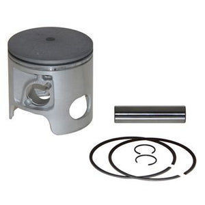 Pro Marine Pro Piston Kit Std. Port OEM 6900P