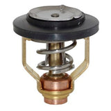 Pro Marine Thermostat Assembly 6AW-12411P
