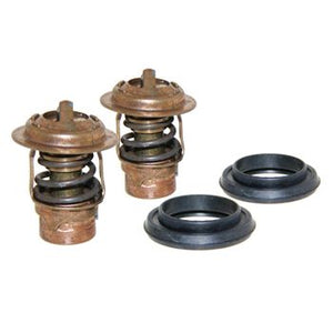 Pro Marine Thermostat 2pk WithSeals 143ºF 75692Q2